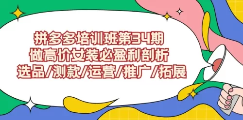 拼多多培训班第34期：做高价女装必盈利剖析 选品/测款/运营/***广/拓展