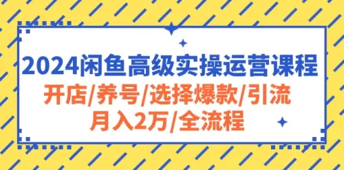 2024闲鱼高级实操运营课程：开店/养号/选择爆款/***/月入2万/全流程