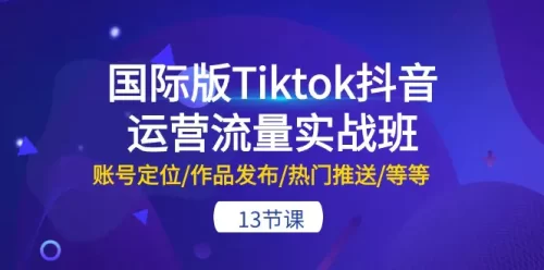 国际版Tiktok抖音运营流量实战班：账号定位/作品发布/热门***送/等等-13节