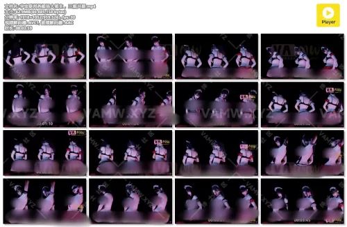 [大片] 宇宙联邦养姬场大领主 ，三姬共振